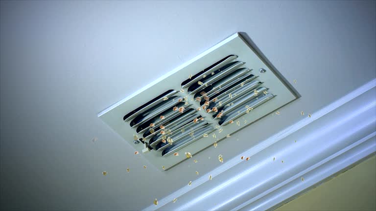 Best HVAC Maintenance and Cleaning  in Energy, IL