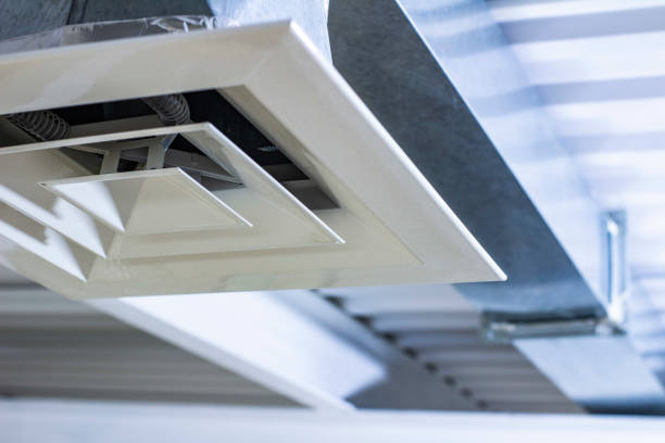 Best Air Duct Sanitizing Services  in Energy, IL